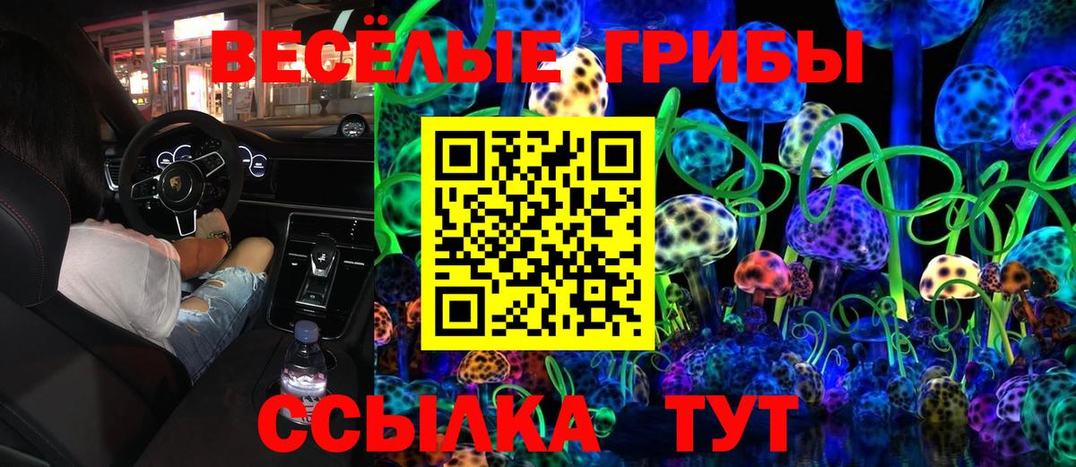Галлюциногенные грибы Magic Shrooms  Галлюциногенные грибы Magic Shrooms  купить наркотик  Вход с VPN  Железноводск 